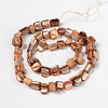 Erose Natural Shell Beads Strands PBB069Y-2