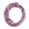 Natural Lepidolite/Purple Mica Stone Beads Strands G-NH0001-F04-01-3