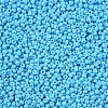11/0 Grade A Baking Paint Glass Seed Beads X-SEED-N001-A-1019-2