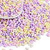 Glass Seed Beads SEED-K010-03F-1