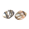 Natural Paua Shell Pendants SHEL-T020-11A-2