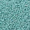 MIYUKI Delica Beads SEED-X0054-DB1567-3
