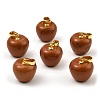 Natural Red Jasper Teacher Apple Charms G-Z022-02K-G-1