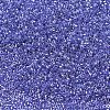 MIYUKI Delica Beads X-SEED-J020-DB0243-1