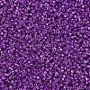 MIYUKI Delica Beads SEED-X0054-DB0431-3