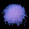 Luminous Transparent Glass Seed Round Beads GLAA-F124-D04-B-2