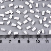 200Pcs 2 Styles 2-Hole Glass Seed Beads SEED-HS0001-08-6