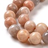 Round Natural Multi-Moonstone Beads Strands G-I176-09-10mm-4