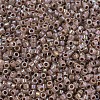 MIYUKI Delica Beads SEED-MY11-DB1749-3