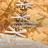 Preciosa® Crystal Hotfix Flatback Stones Y-PRC-HSS6-70530-3