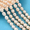 Natural Cultured Freshwater Pearl Beads Strands PEAR-I007-01F-07B-1