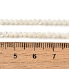 Natural White Shell Beads Strands SHEL-M021-03B-4