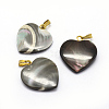 Shell Pendants SSHEL-E564-23B-G-1