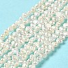 Natural Cultured Freshwater Pearl Beads Strands PEAR-E017-26-2