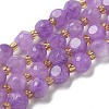 Natural Amethyst Beads Strands G-K387-A14-01-2