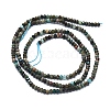 Natural African Turquoise(Jasper) Beads Strands G-G106-A31-01-2