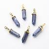 Natural Sodalite Double Terminated Pointed Pendants G-G902-B14-2