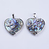 Abalone Shell/Paua Shell Pendants SSHEL-L008-01P-2