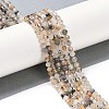 Natural Rutilated Quartz Beads Strands G-G139-A01-03-2