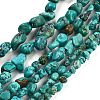 Natural HuBei Turquoise Beads Strands G-B089-B01-03-1