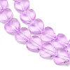 Transparent Glass Beads Strand GLAA-F112-01B-4
