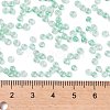 8/0 Glass Seed Beads SEED-A015-3mm-2219-4