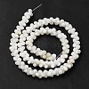 Natural Freshwater Shell Beads Strands BSHE-E026-17-3