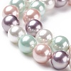 Shell Pearl Bead Strands BSHE-L017-10-3