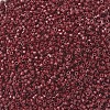 MIYUKI Delica Beads SEED-MY11-DB2119-3