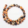 Natural Fire Crackle Agate Bead Strands G-K166-06F-10mm-02-2