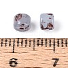 Baking Paint Glass Seed Beads SEED-N009-02A-3