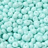 6/0 Opaque Baking Paint Glass Seed Beads X1-SEED-M012-02A-04-3