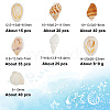 135Pcs 5 Size Natural Conch Shell Beads BSHE-PH0001-14-2