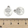 Tibetan Style Alloy Pendants FIND-M047-26AS-3