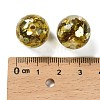 Transparent Resin with Paillette Beads RESI-G110-02F-3