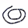 Natural Iolite Beads Strands G-O201C-16-2
