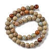 Natural Aqua Terra Jasper Beads Strands G-E444-14B-14mm-2