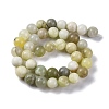 Natural New Jade Beads Strands G-F591-16-10MM-3