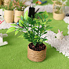 Platic Miniature Ornaments PW-WG84498-01-2