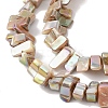 Natural Freshwater Shell Beads Strands BSHE-H018-07A-3