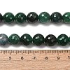 Natural Fuchsite Beads Strands GG-CBADA9D-A01-10mm-4