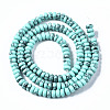 Synthetic Turquoise Beads Strands G-S366-120-2