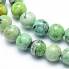 Natural Variscite Beads Strands G-G823-02-6mm-3