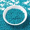 MIYUKI Round Rocailles Beads SEED-X0055-RR4483-2