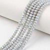 Electroplate Opaque Solid Color Glass Beads Strands LS-EGLA-A034-P3mm-L16-1