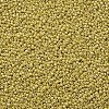 12/0 Glass Seed Beads SEED-US0003-2mm-122-2