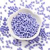 Baking Paint Glass Seed Beads SEED-A032-02N-2