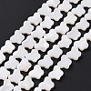 Natural Freshwater Shell Beads Strands SHEL-H002-02E-3