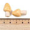 Mushroom Themes Resin Display Decorations DJEW-S002-01D-3