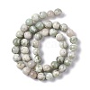 Natural Peace Jade Beads Strands X-G-G905-07-3